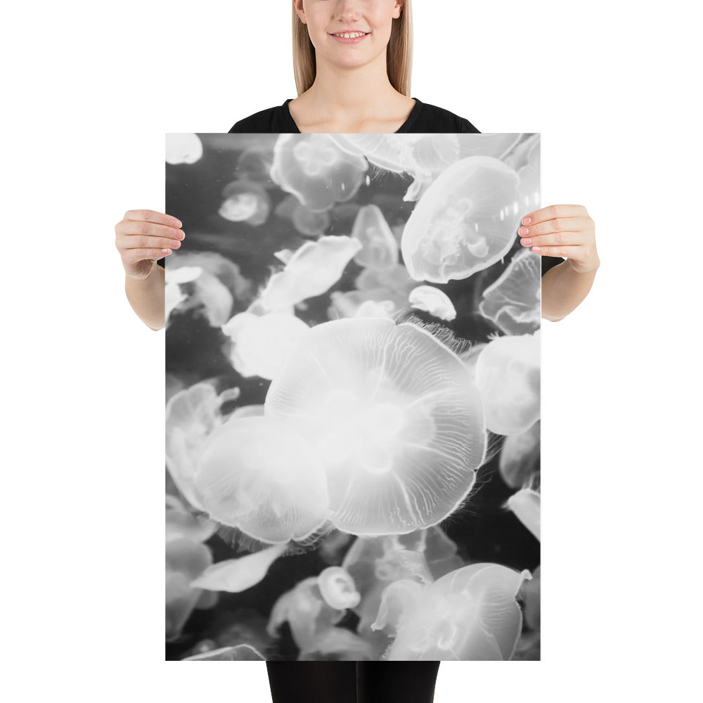 Quallen - Poster