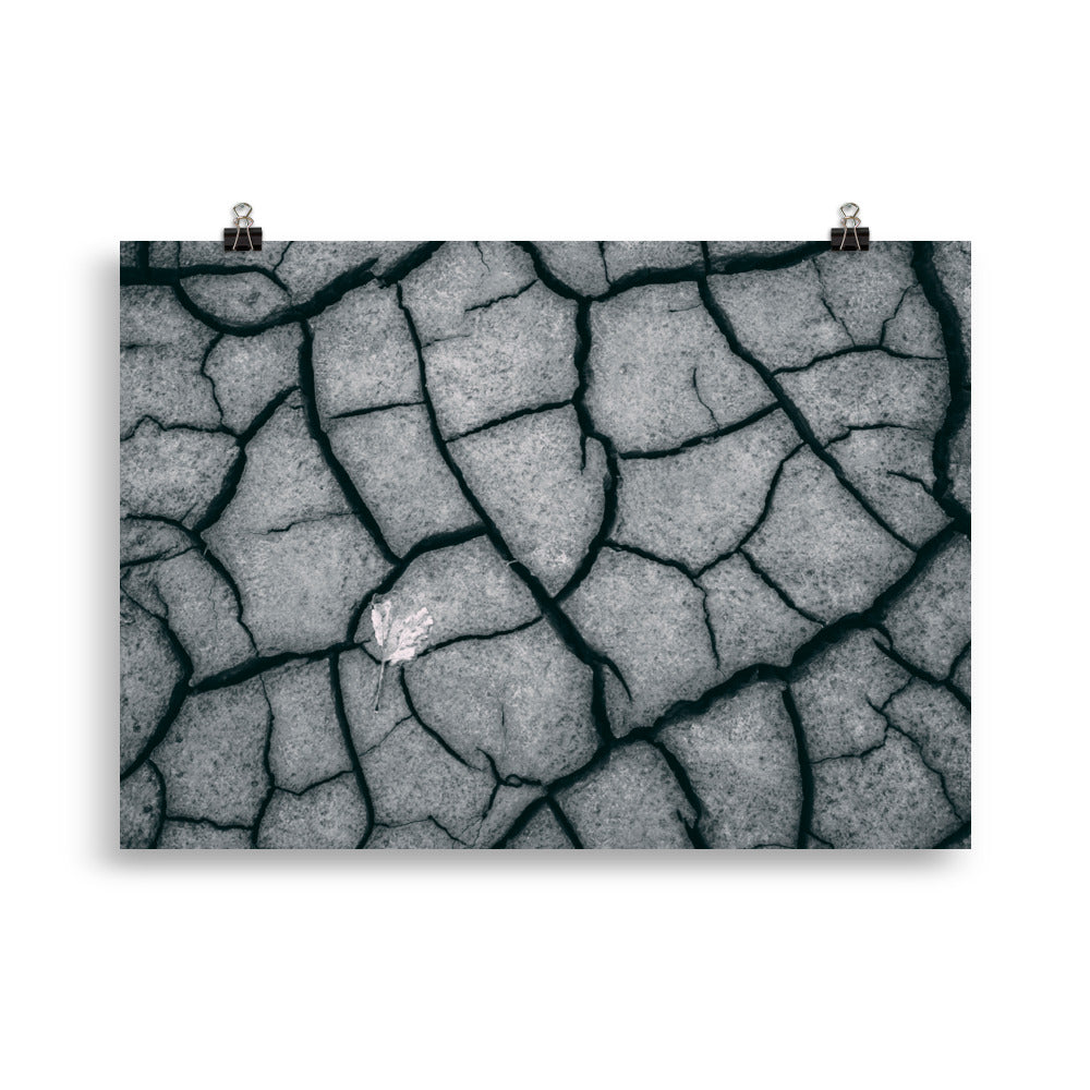 Trockenheit - Poster