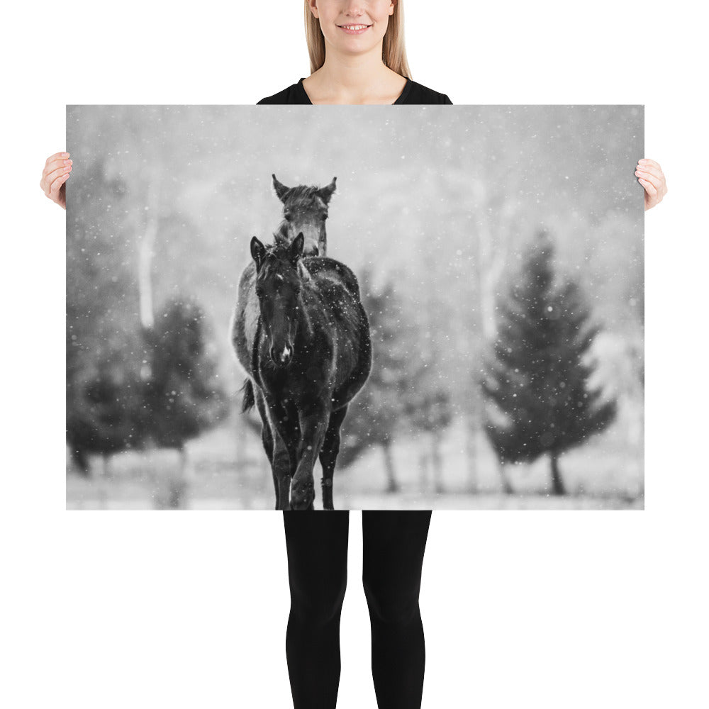 Pferde im Winter - Poster