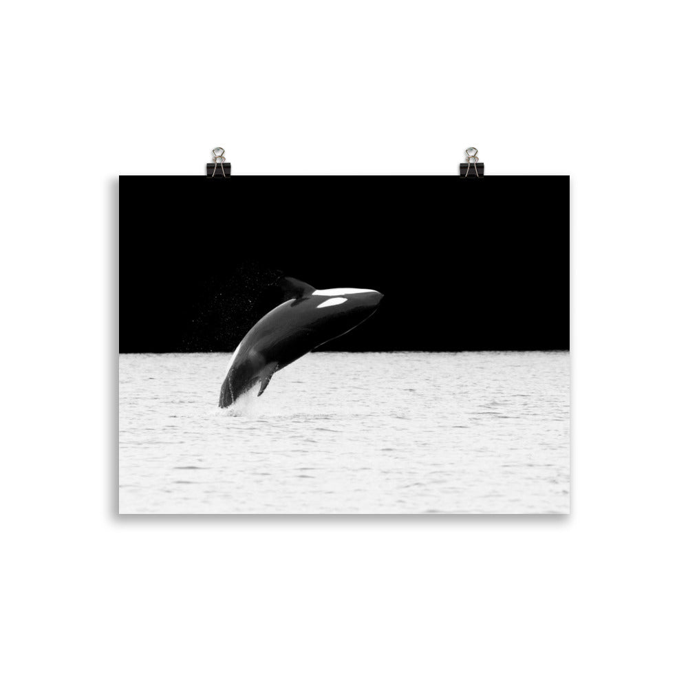 Orca - Poster