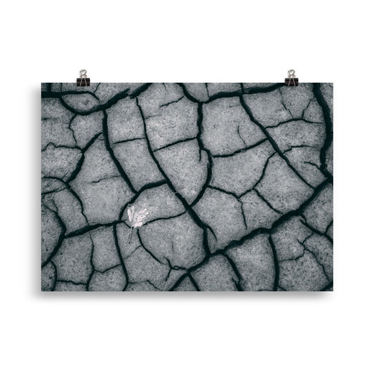 Trockenheit - Poster