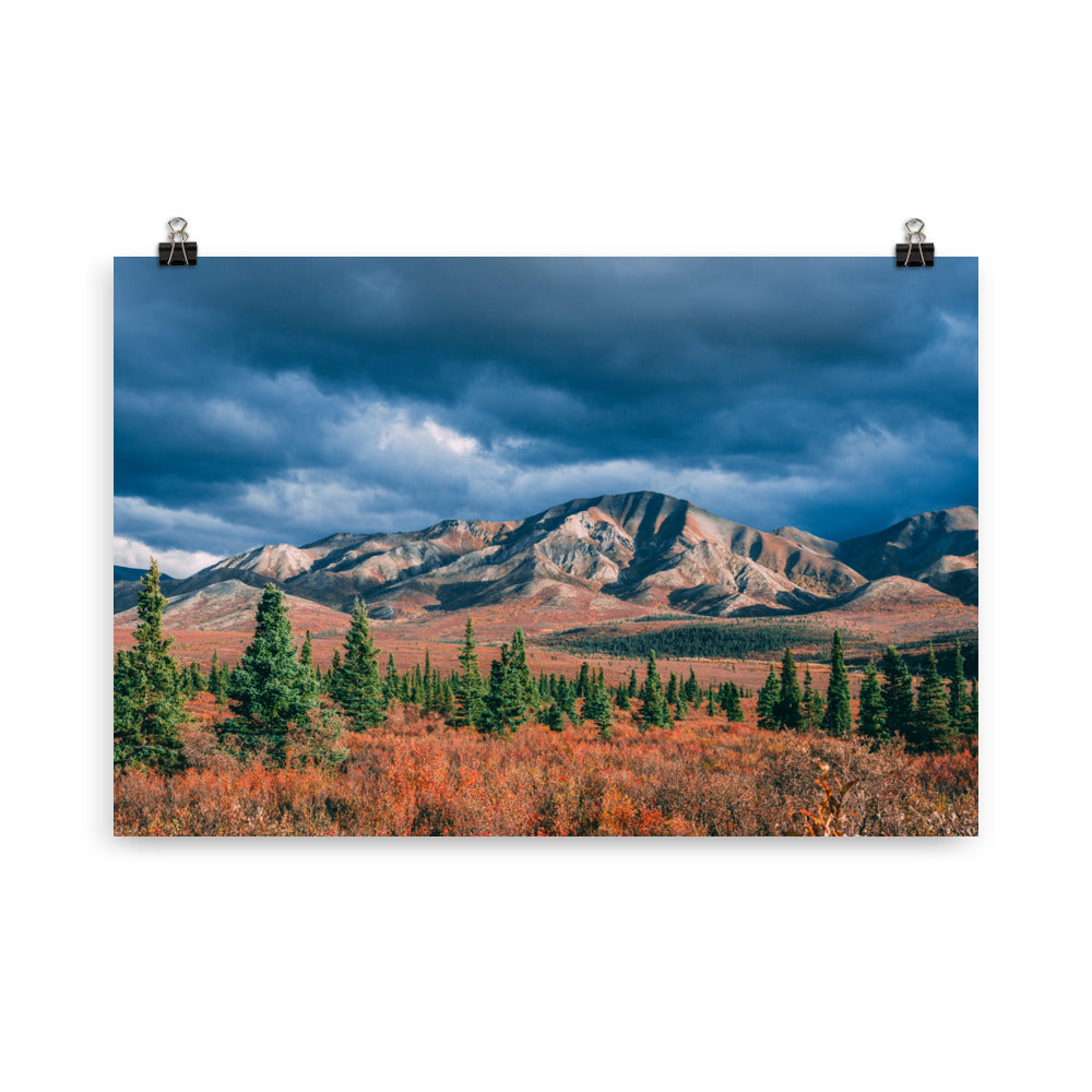 Denali National Park in Alaska - Poster