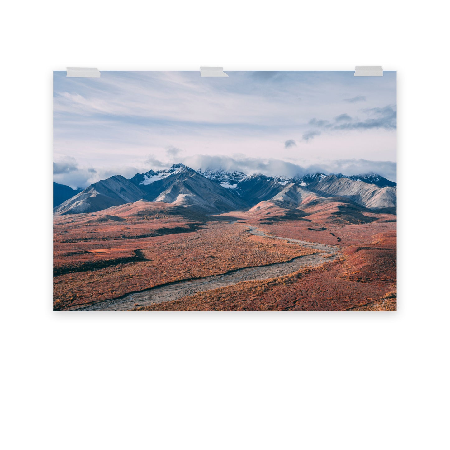 Denali Nationalpark in Alaska - Poster