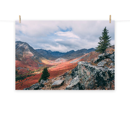 Wanderung in Alaska - Poster