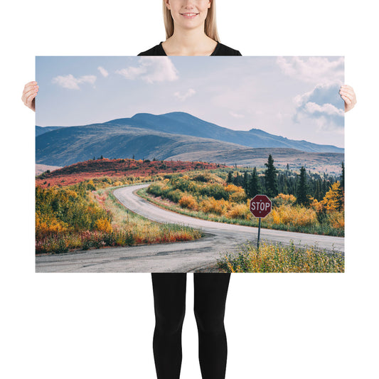 Alaska Street - Poster
